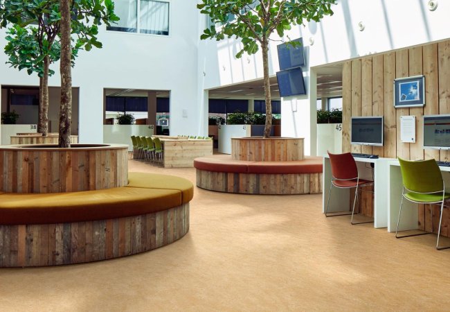 Solathèque article de blogue